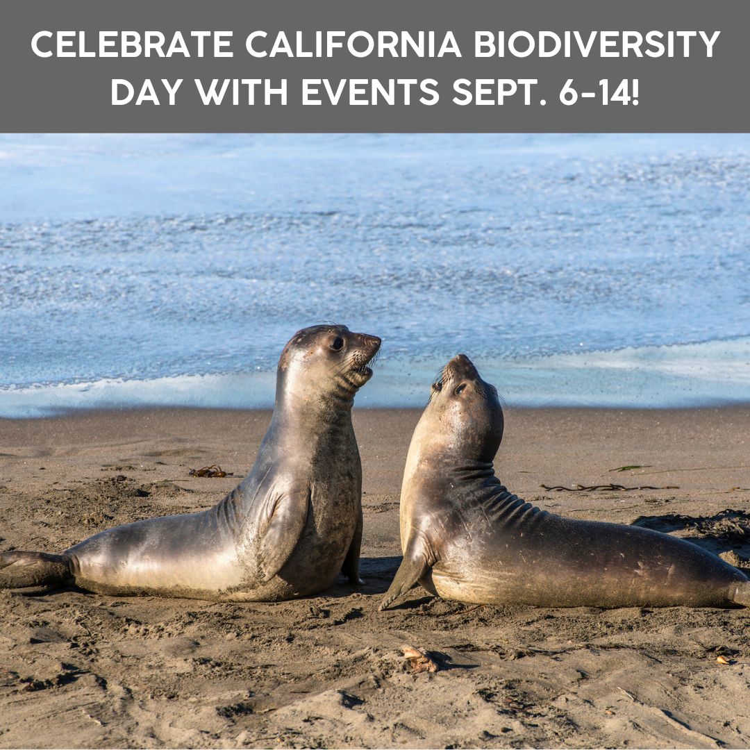 California State Parks Invites Public to Celebrate California Biodiversity Day with Weeklong Events